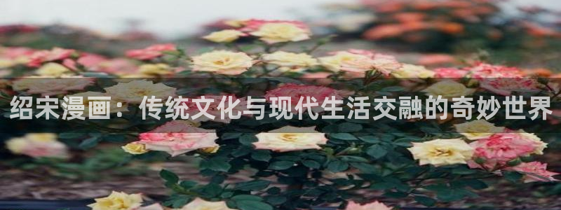 妖气漫画yy漫画免费观看：绍宋漫画：传统文化与现代生活交融的奇妙世界