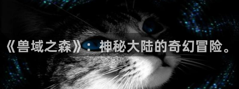 yy漫画网页版：《兽域之森》：神秘大陆的奇幻冒险。