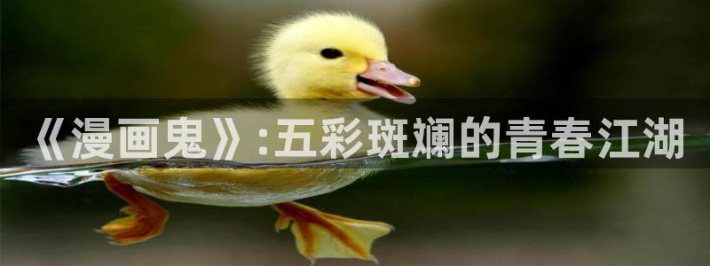 yy漫画人生在线韩漫阅读：《漫画鬼》:五彩斑斓的青春江湖